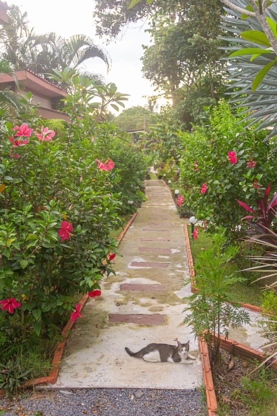 The Travelers Friend Hotel Ban Ai Dao Exterior photo